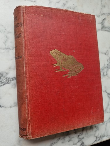 Life ponds and - (1919),