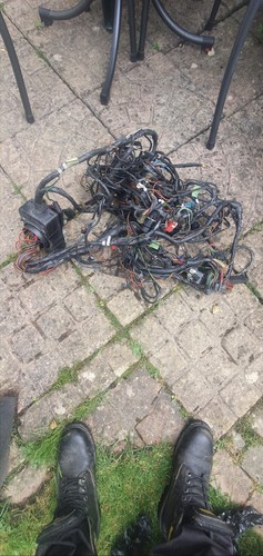Rs1600i xr3i mk3 wiring loom - ,