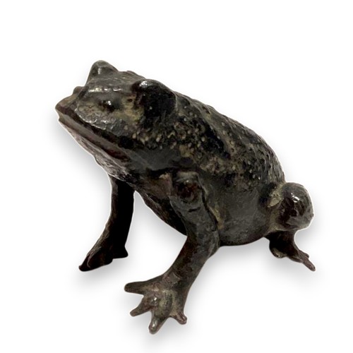Bronze metal frog - metal,