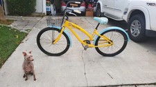 Rare nirve paul frank - nirve,