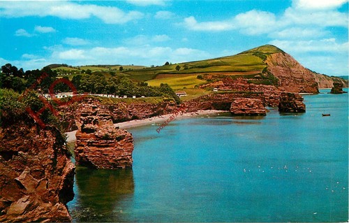 Picture postcard ladram - picture, postcard>>ladram