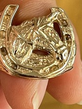 375 9ct yellow gold Horseshoe