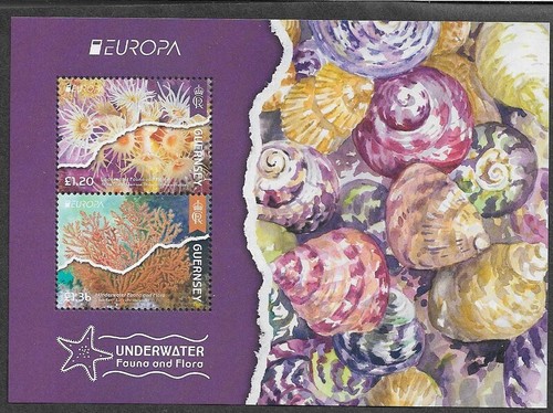 Underwater flora fauna - flora,