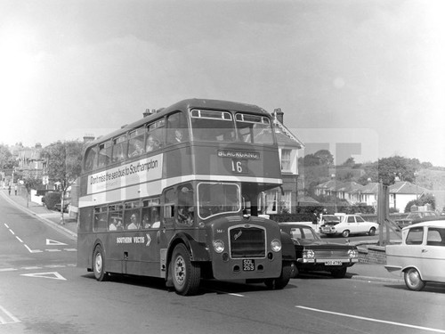 Large negative southern - large, vectis