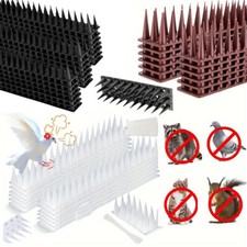 30m plastic bird spikes - plastic,