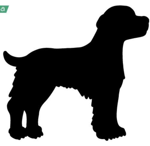 Brittany spaniel dog - brittany,