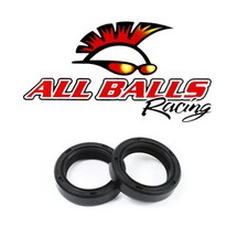 All Balls Fork Dust Seal Only