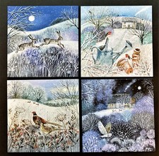 4 Rabbit Hare Owl English