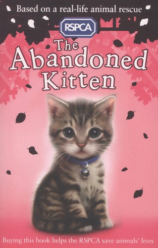 The abandoned kitten