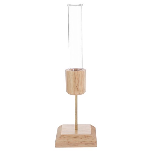 Artistic hydroponic glass vase - hydroponic,