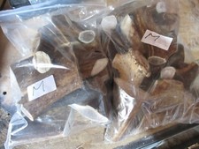DEER ANTLER CHEWS 1 KG+ FOR