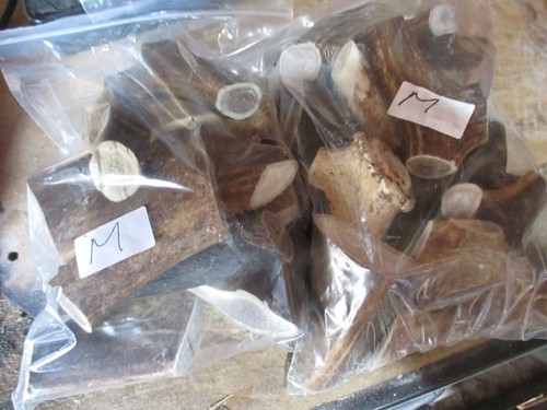 Deer antler chews for - chews, kg+