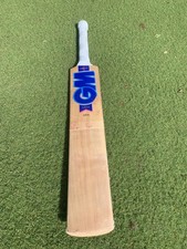 404 siren cricket - 404, bat
