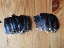 50 SMALL MAGPIE WING FEATHERS