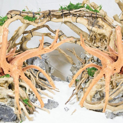 Pcs spider wood - wood, for
