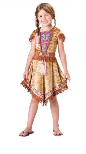Beautiful native american - native,
