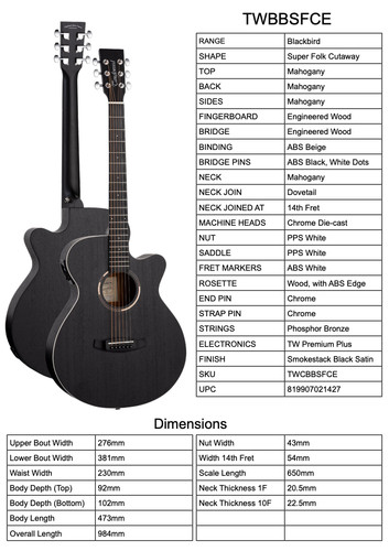 New guitar tanglewood model - new,