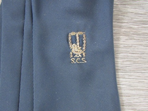 Early vintage sussex cricket - sussex,