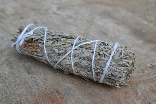 White sage smudge sticks - sticks,