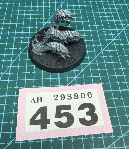 Tyranid ripper swarm - tyranid, built