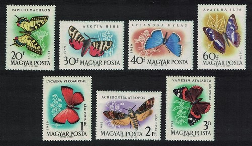 Hungary butterflies and - hungary, moths