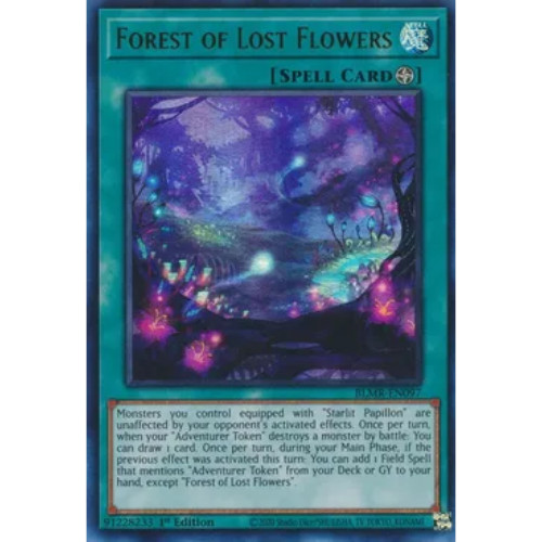 Forest lost flowers - of,