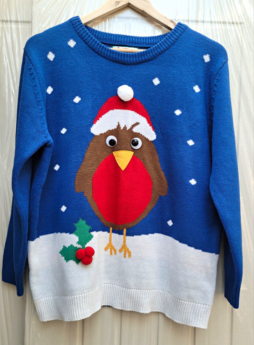 Christmas jumper blue robin - christmas,