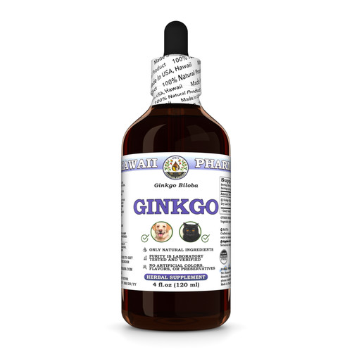 Ginkgo dried - biloba),