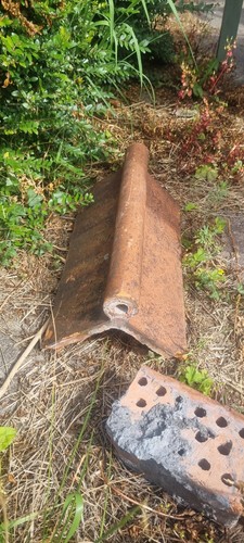 Small segment old - 8", clay