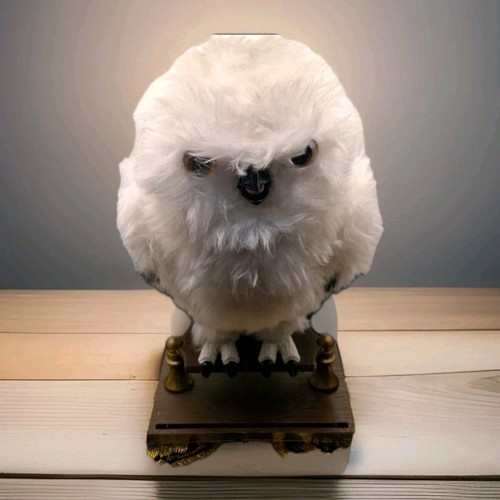 Hedwig interactive harry - hedwig,