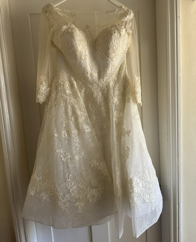 Veromia ivory lace - lace, &