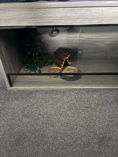 Vivarium new with lights - vivarium,