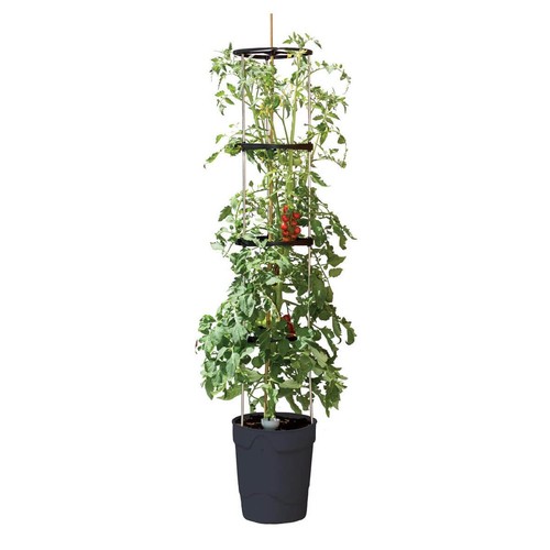 Garland self watering plant - garland,