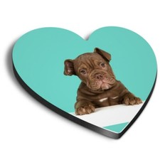 Heart MDF Magnets - Cute Old English Bulldog Puppy Dog #21422