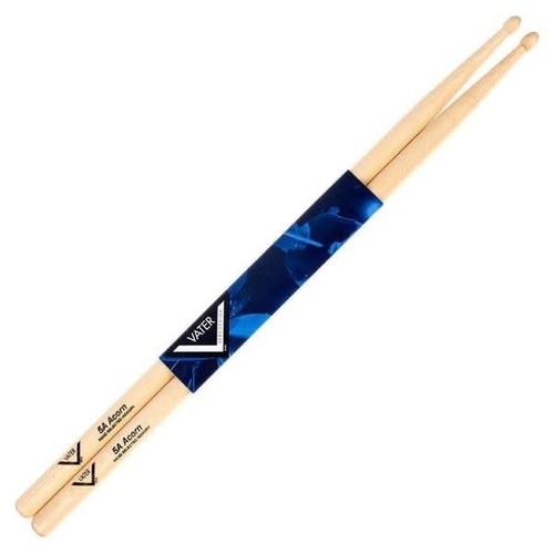 Vater hickory acorn - hickory, tip