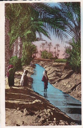 Oasis vintage colour - l'oasis.,