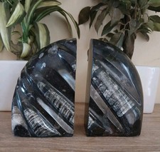 Heavy black marble orthoceras