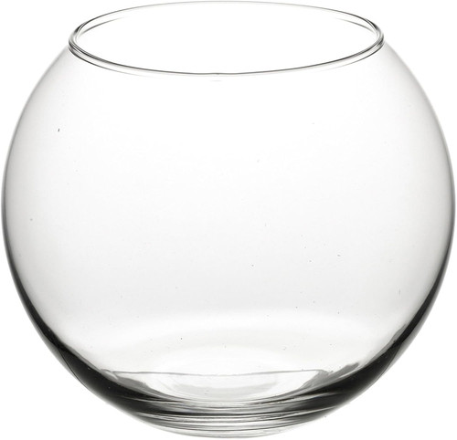 16cm large fish - large, round