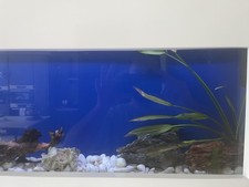 Wall Mount Fish Tank Aquarium Complete Setup Stand, Heater, LED, Filter