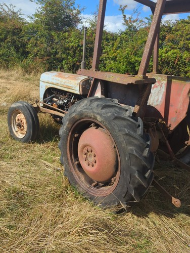 Tef massey ferguson tractor - 20,