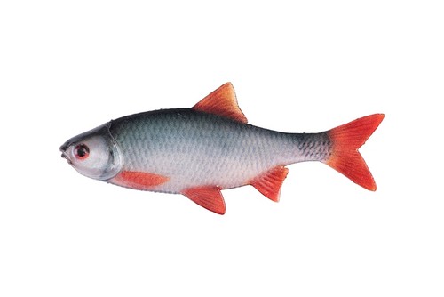 Fox ultra natural roach - ultra,