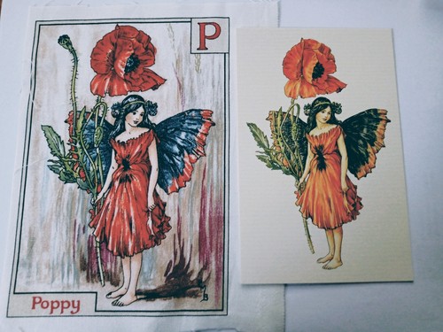 Poppy alphabet flower - p,