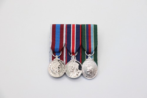Queens platinum jubilee king - platinum,