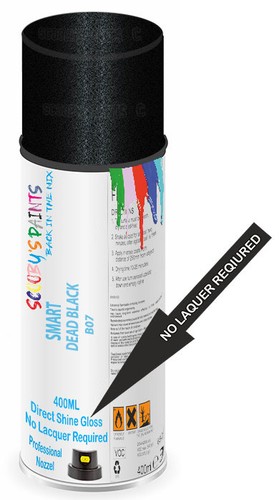 Paint for smart dead black - paint,