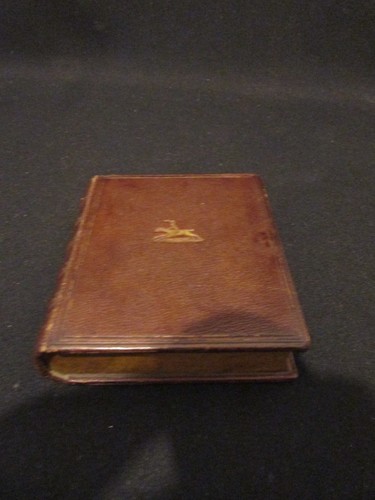 Equestrian leather covered - equestrian,