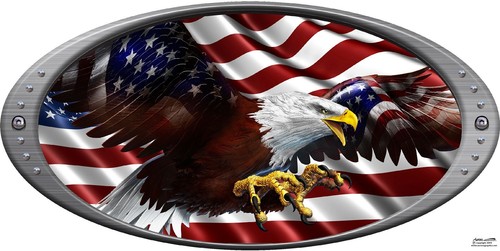 American flag flying eagle