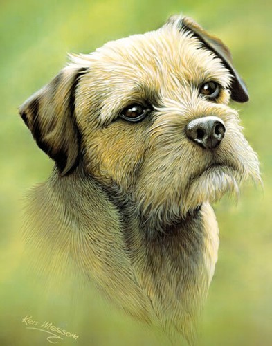 Print border terrier - a,