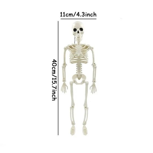 Halloween skeleton prop - halloween,
