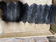  Filter brushes, black knight 8 at 6x16inch and 4 at 8x16 inch . Used 
