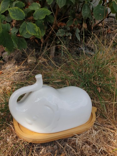 Beautiful novelty ceramic - novelty,
